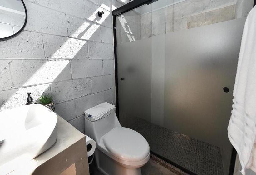 Номер Стандарт, Sealion Dive Center