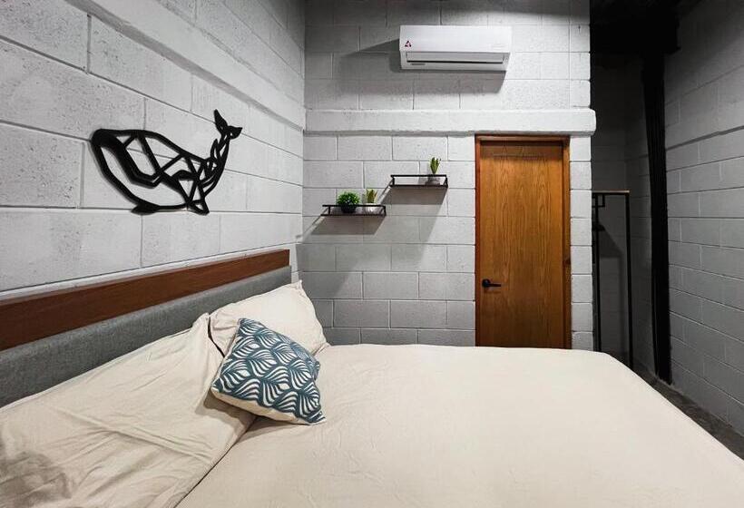 Номер Стандарт, Sealion Dive Center