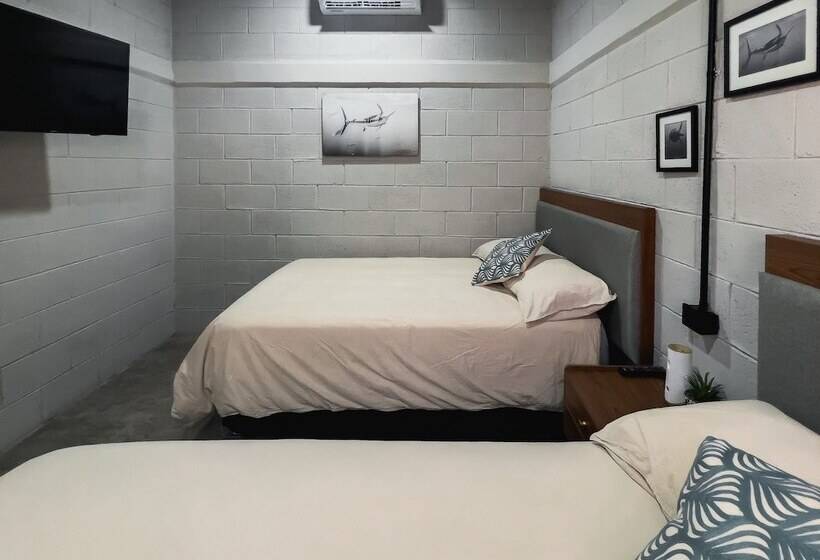 Номер Deluxe, Sealion Dive Center