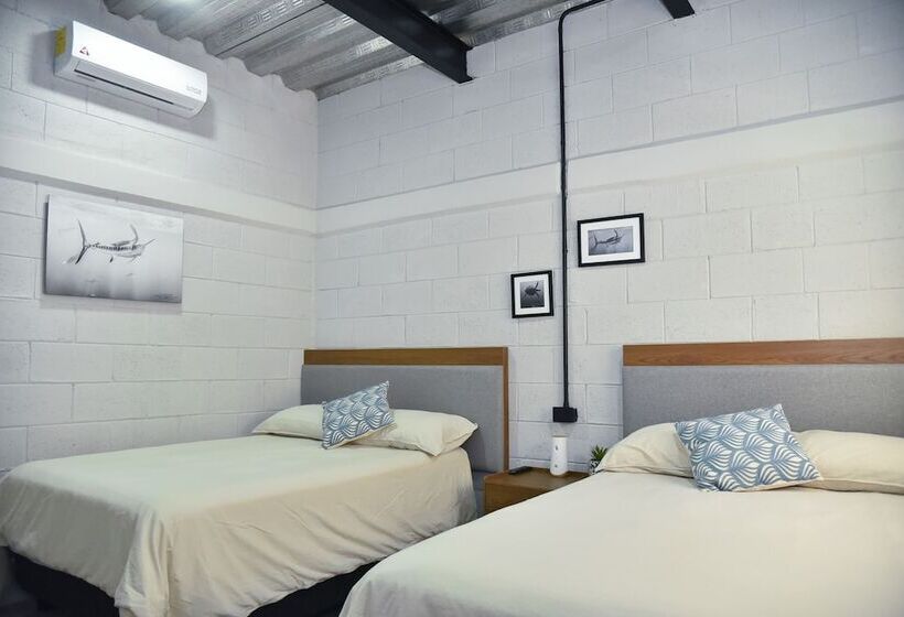 Номер Deluxe, Sealion Dive Center