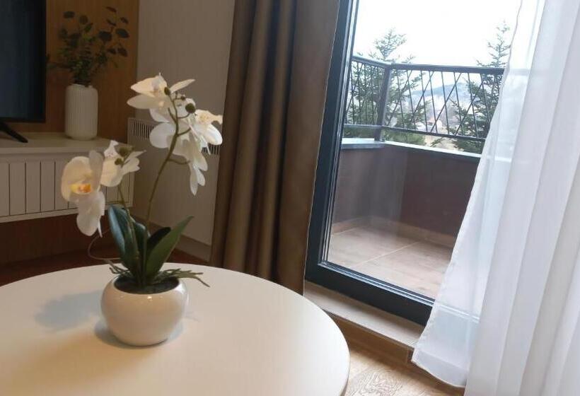آپارتمان 1 خوابه, Zlatiborske Terase Spa&wellness