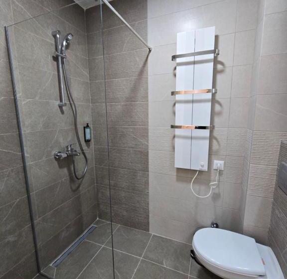 آپارتمان 1 خوابه, Zlatiborske Terase Spa&wellness