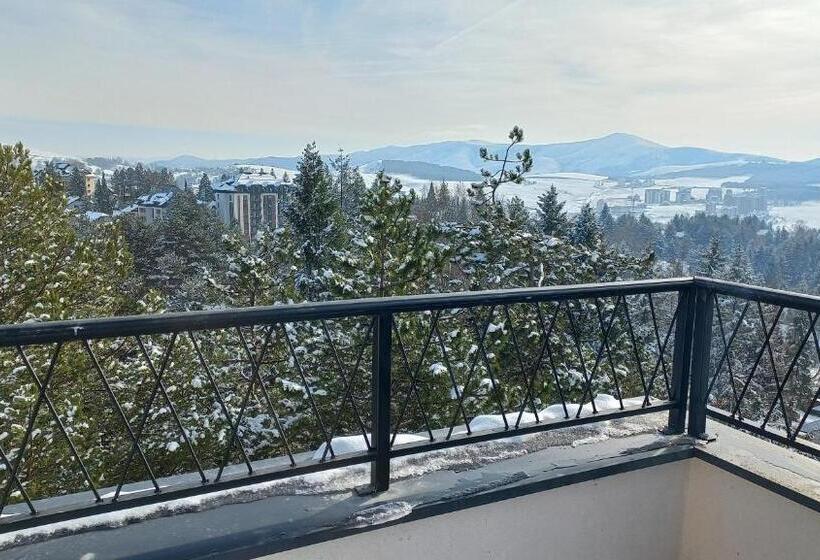 آپارتمان 1 خوابه, Zlatiborske Terase Spa&wellness