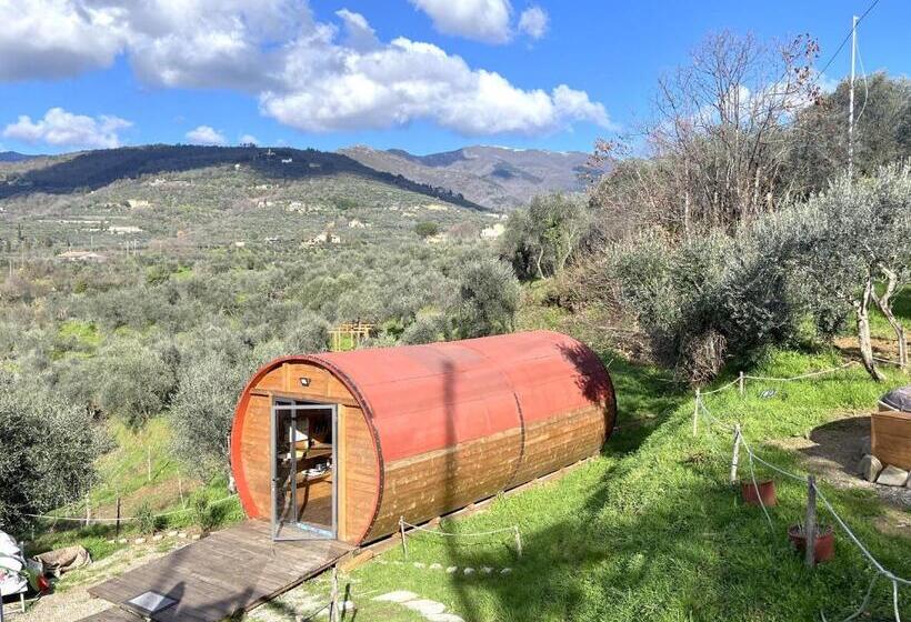 Студия Deluxe, Le Botti Fiorentine