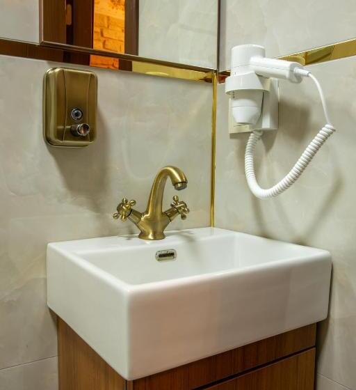 スタンダードルーム, Sayina