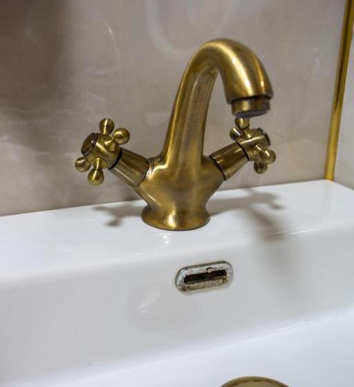 スタンダードルーム, Sayina