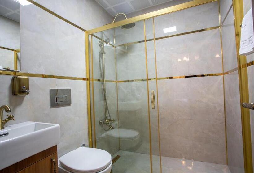 ガーデンビュースタンダードルーム, Sayina