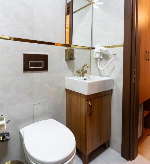 オーシャンビュースタンダードルーム, Sayina