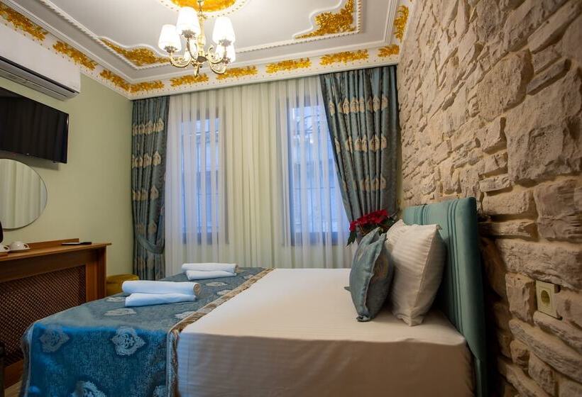 スタンダードルーム, Sayina