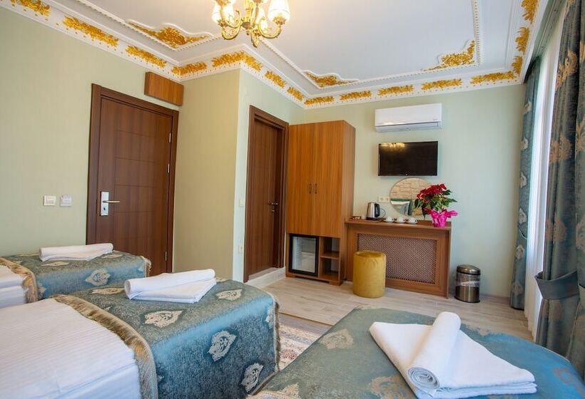 コンフォートトリプルルーム, Sayina