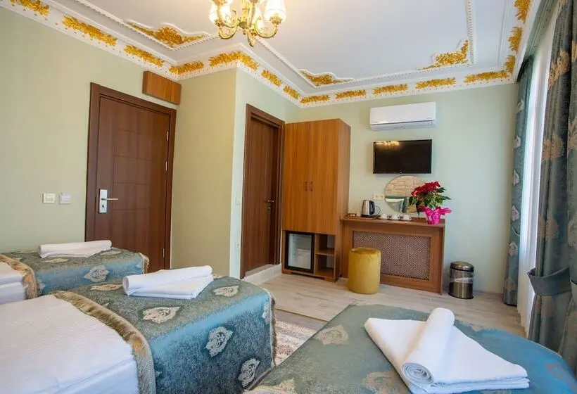 Comfort Kolmen Hengen Huone, Sayina