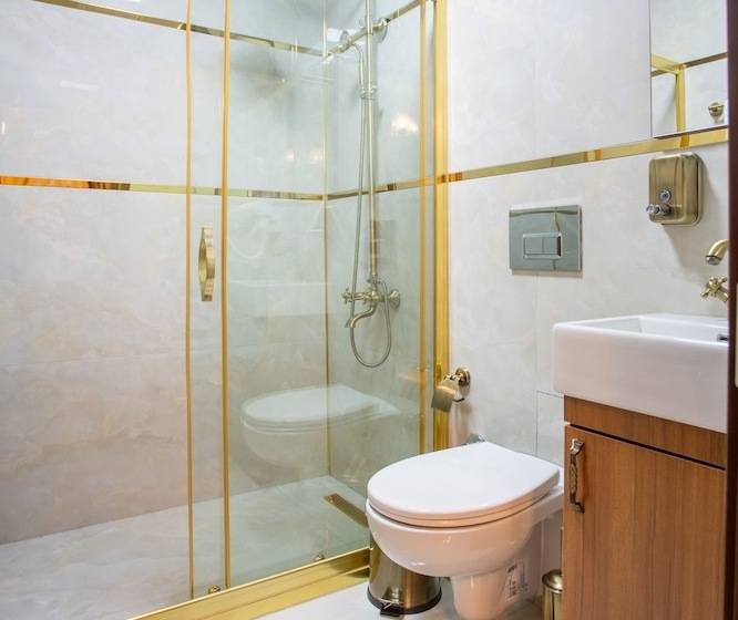 スタンダードルーム, Sayina