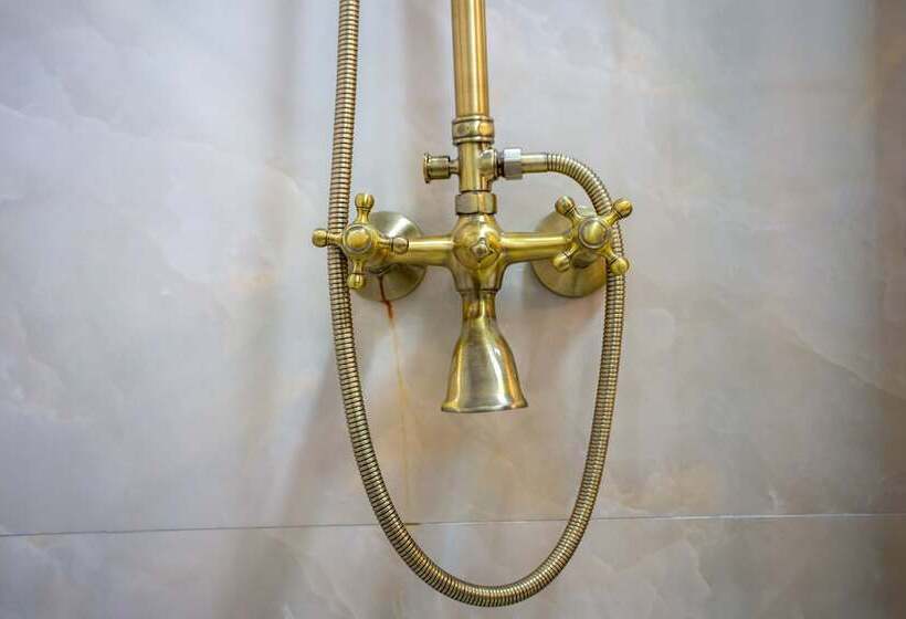 スタンダードルーム, Sayina