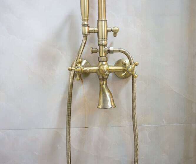 スタンダードルーム, Sayina