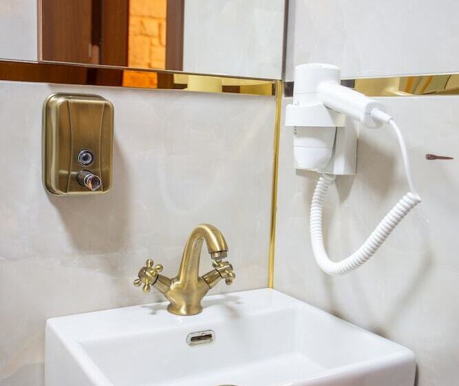 スタンダードルーム, Sayina