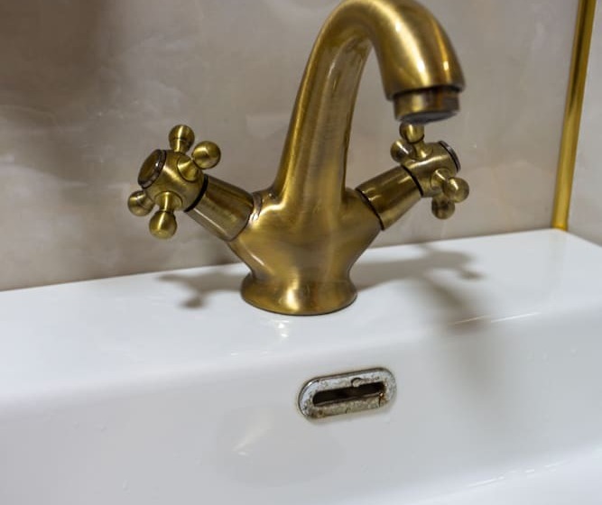 スタンダードルーム, Sayina