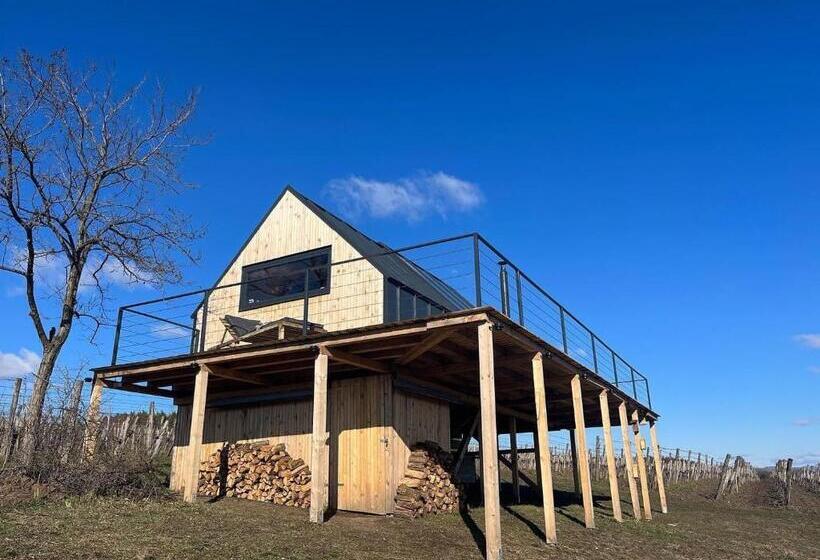 Апартаменты 1 Спальня, Campy Eco House • Eger