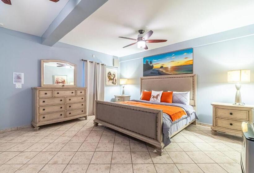 带大床的标准工作室, Sea Horizon