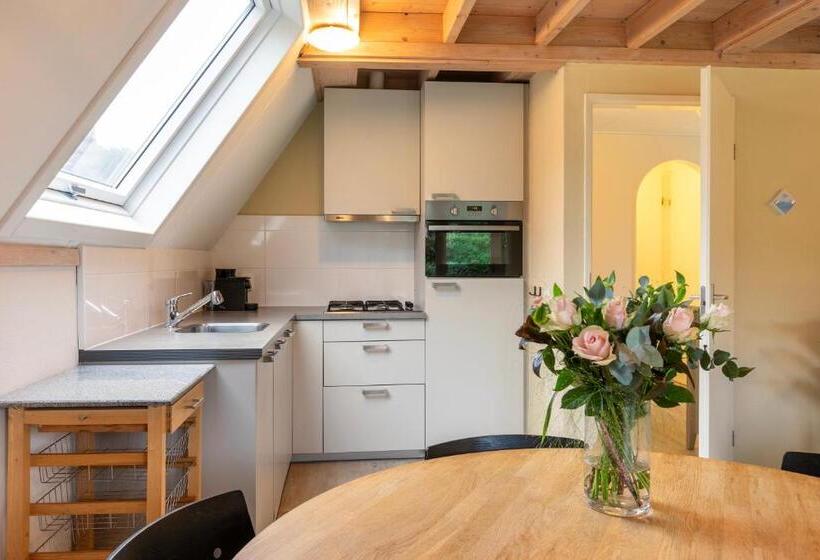 בונגלו סטנדרט עם 3 חדרי שינה, Summio Bungalowpark Het Hart Van Drenthe