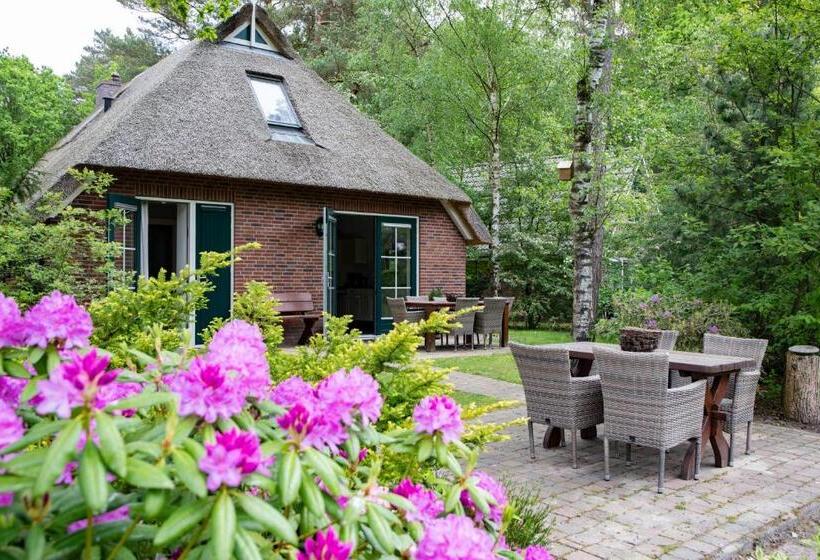 家庭洋房, Landgoed Het Grote Zand