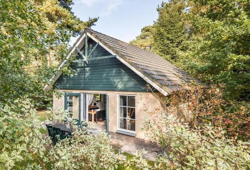 بانگلوی استاندارد, Landgoed Het Grote Zand