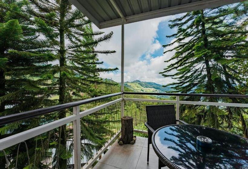 豪华房间, Mountain Valley Resort