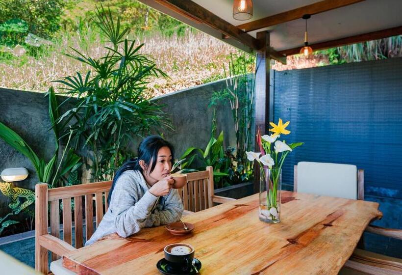 带露台的套间, Mountain Valley Resort