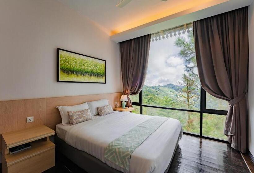 高级大房间, Mountain Valley Resort