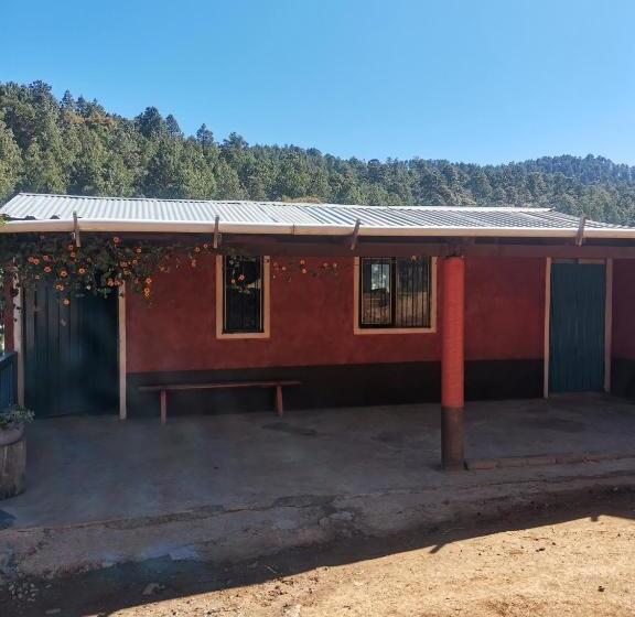 غرفة قياسية, Casa Shalom