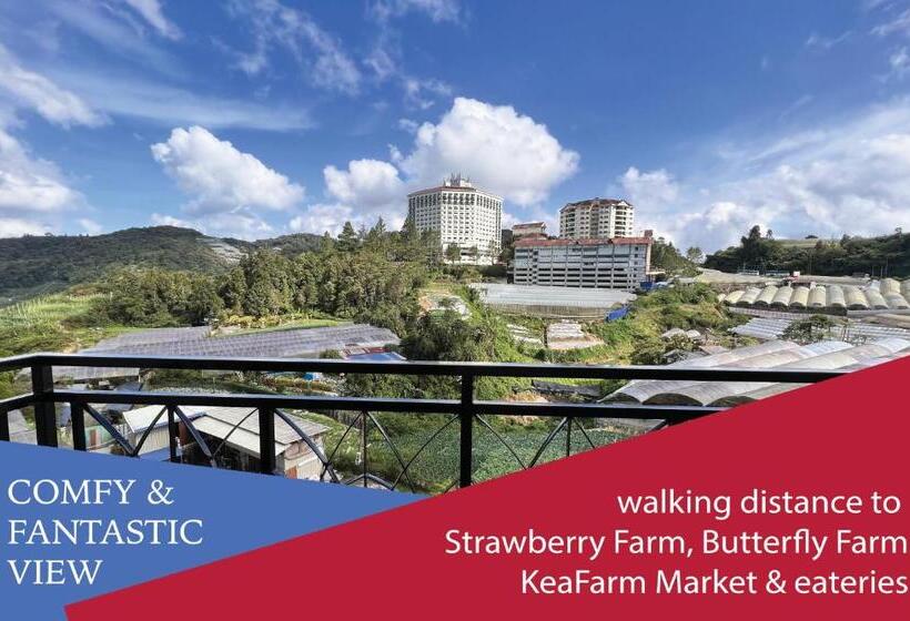 إستوديو قياسى ذو إطلالة, Studio Apartment  Fantastic Mountain View