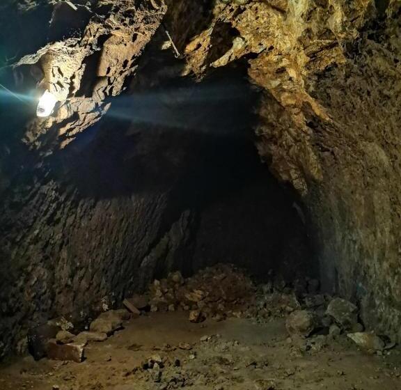 آپارتمان سوپریور 1 خوابه, апартаменты в центре ужгорода скала