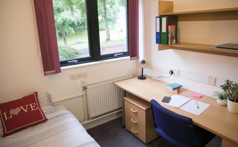 اتاق استاندارد یک نفره, Andrew Stewart Hall