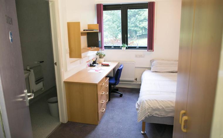 اتاق استاندارد یک نفره, Andrew Stewart Hall