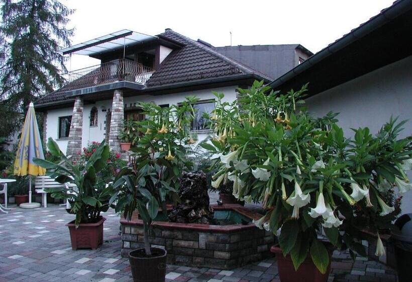Семейное Бунгало, Pension Hofmann