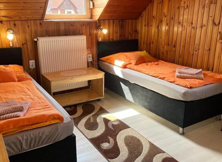 Номер Стандарт, Lenzl S Panzió