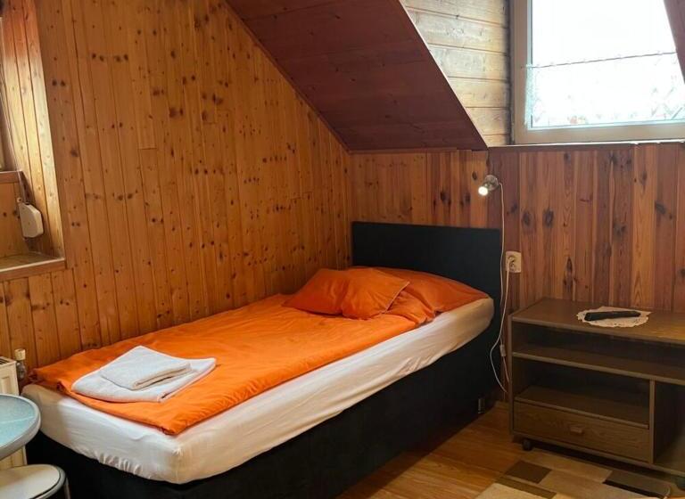 Номер Стандарт, Lenzl S Panzió