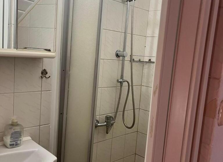 Номер Стандарт, Lenzl S Panzió