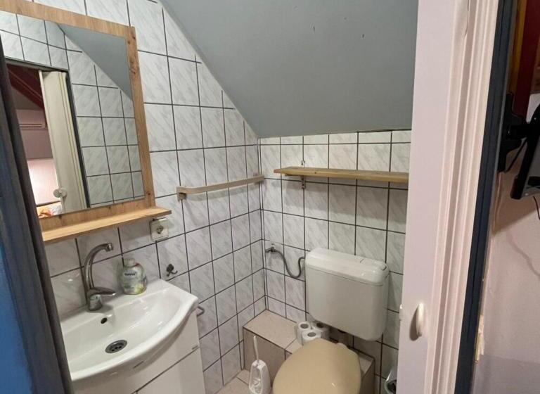 Номер Стандарт Индивидуальный, Lenzl S Panzió