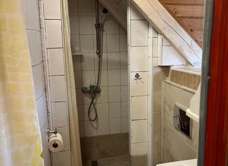 Номер Стандарт Индивидуальный, Lenzl S Panzió