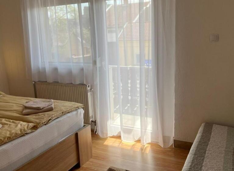 Апартаменты 1 Спальня, Lenzl S Panzió