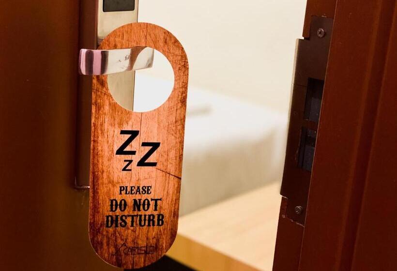 חדר סטנדרט, Carlsun