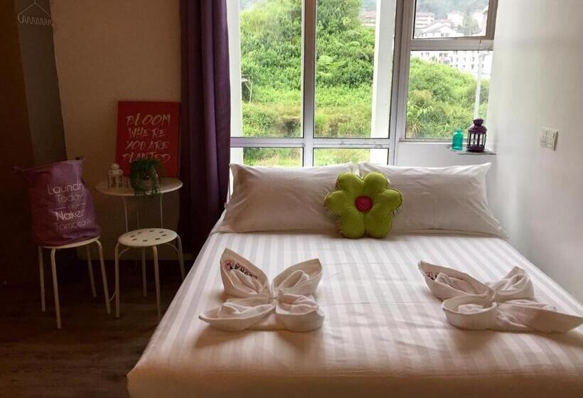 Номер Deluxe, Flora Plus