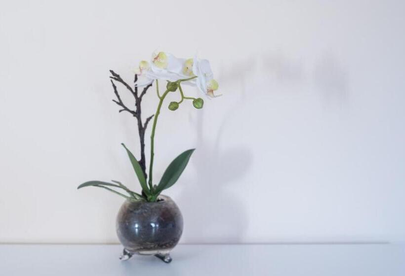 Apartamento 1 Dormitorio, Feelcoimbra Castelo Boutique Apartments