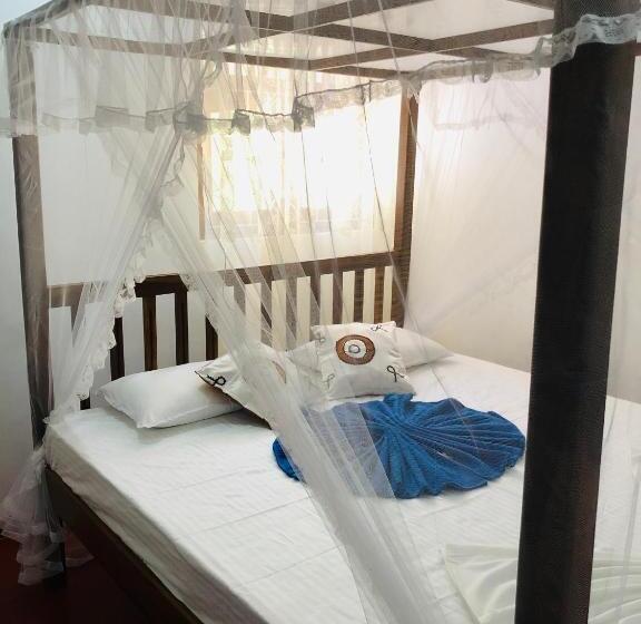 이코노미 룸, Mirissa White House