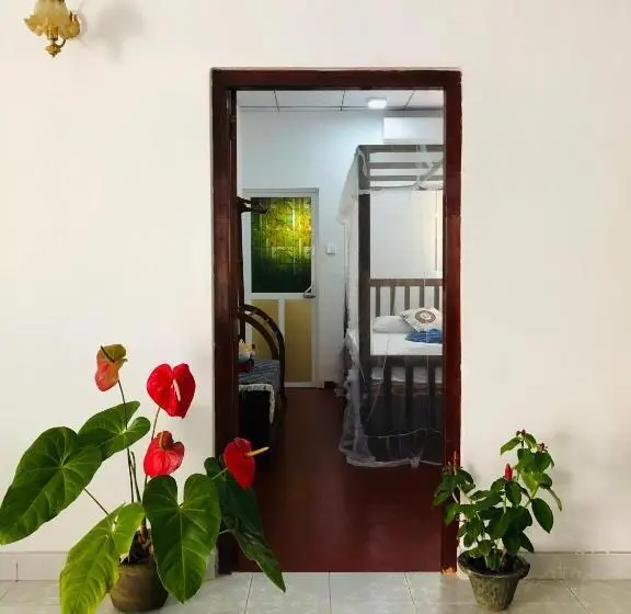 エコノミールーム, Mirissa White House
