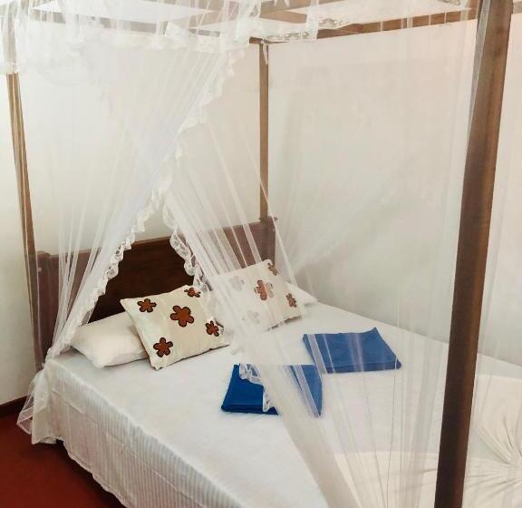 이코노미 룸, Mirissa White House