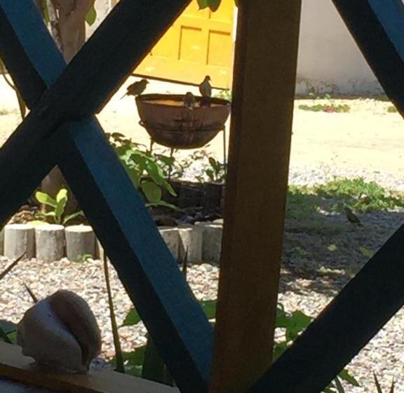 スタンダードインサイドビュールーム, Pousada Maré