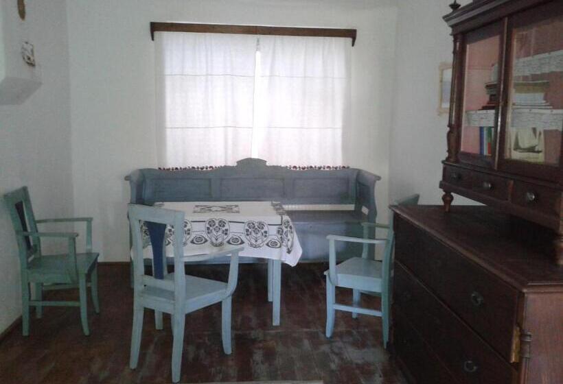 جناح جونيور مزوَّد بتراس, Convivium Transilvania