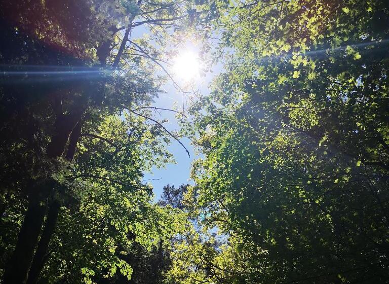 Номер Стандарт Индивидуальный, Haus Marvin