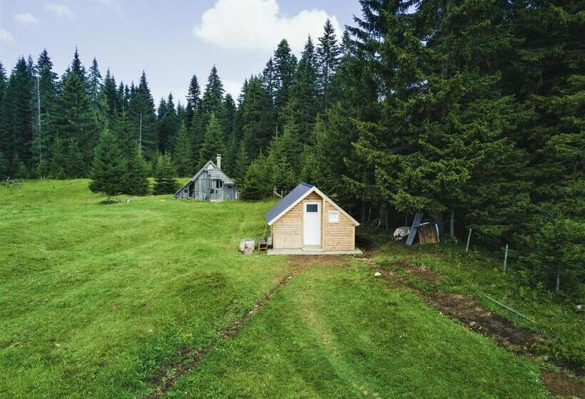 بانگلوی استاندارد, Homestay Djerkovic